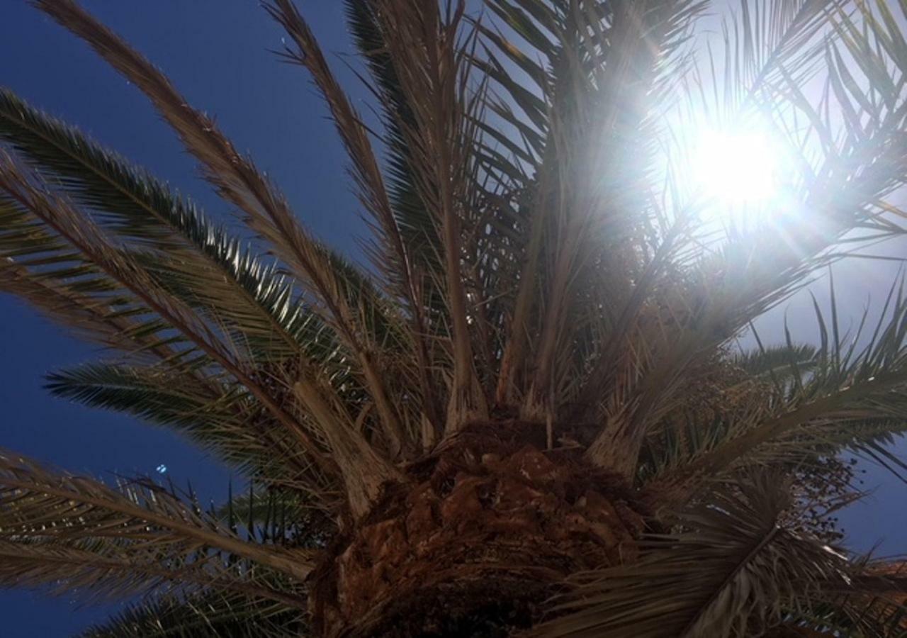 Apartamento La Gema del Sur Maspalomas  Exterior foto